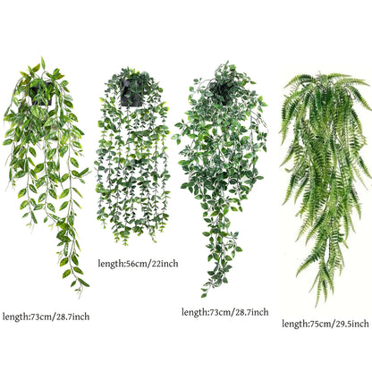 Ordelle | Kit 4 Plantas Pendentes Cascata